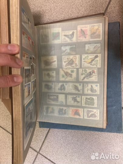 Альбомы с марками (коллекция марок) новичку
