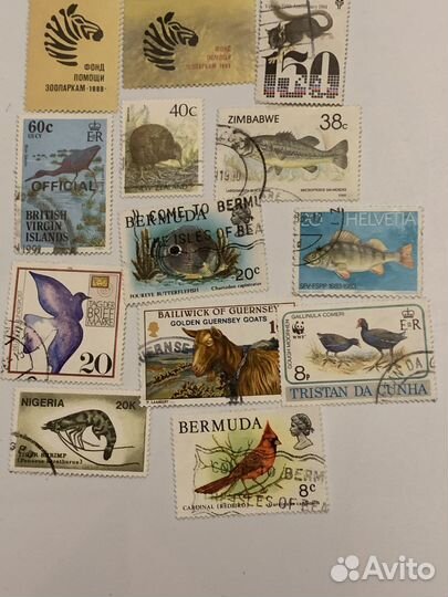 Набор марок разных стран мира фауна