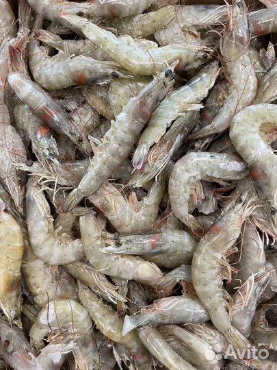 Крабы, креветки