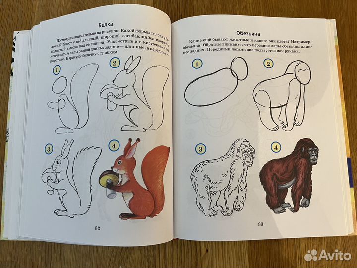 Учимся рисовать. Шалаева