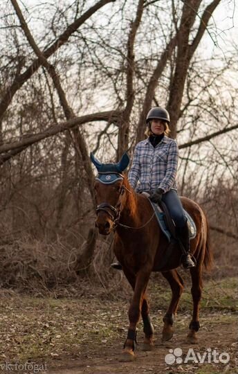 Уроки верховой езды