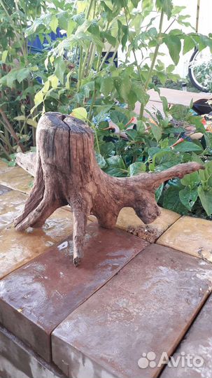 Коряги для аквариума