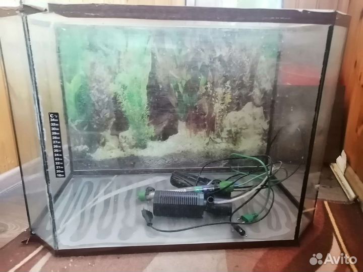 Аквариум