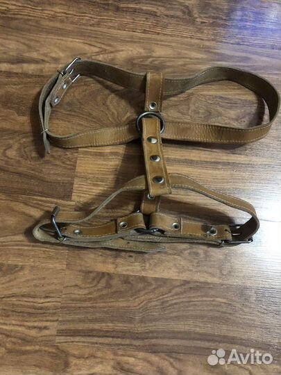 Продам кожаную шлейку
