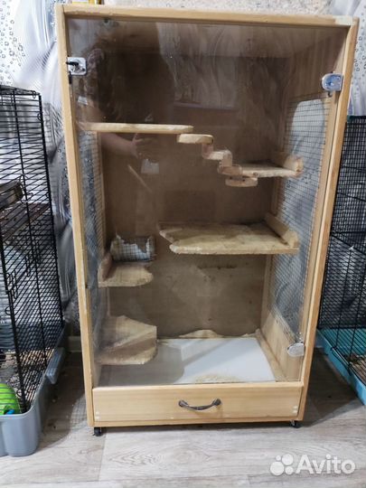 Витрина для шиншилл/дегу