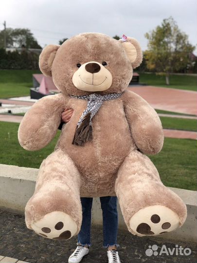 Плюшевые мишки