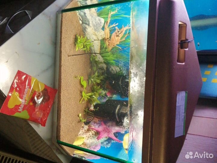 Аквариумы 150 литров и 35 литров