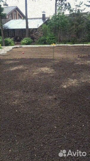 Рулонные газоны