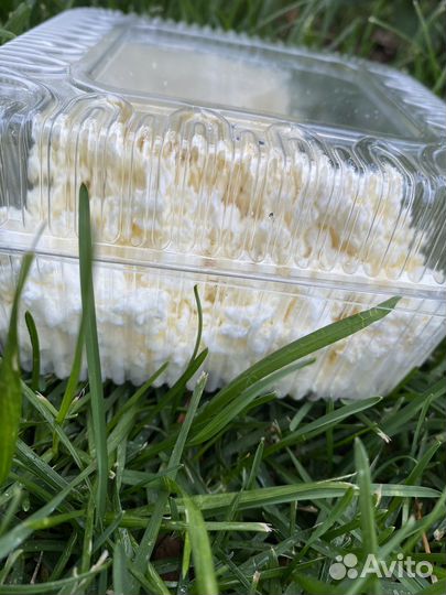 Фермерские молочные продукты