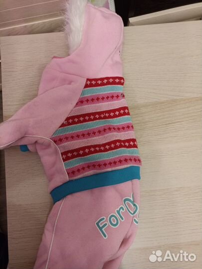 Одежда для собак