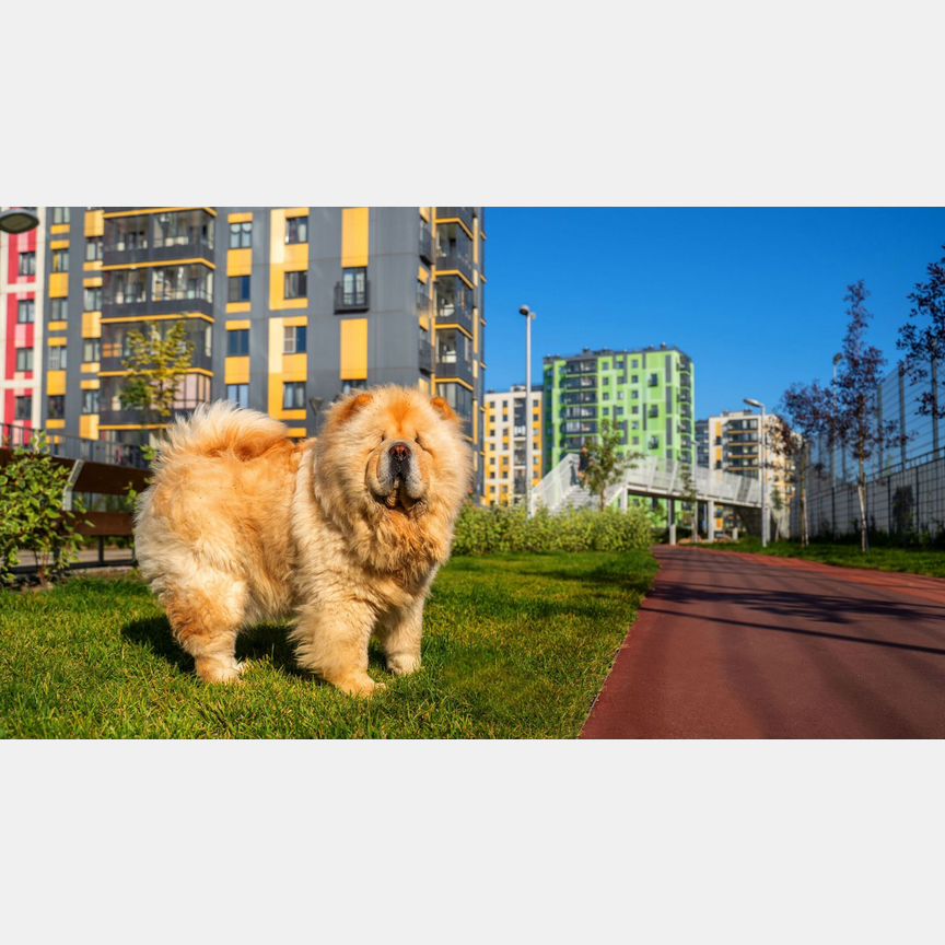 1-к. квартира, 38,2 м², 3/7 эт.
