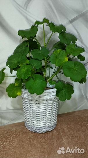 Кашпо из бумажной лозы