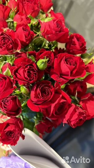 Цветы оптом