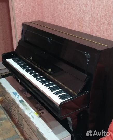 Отдам бесплатно