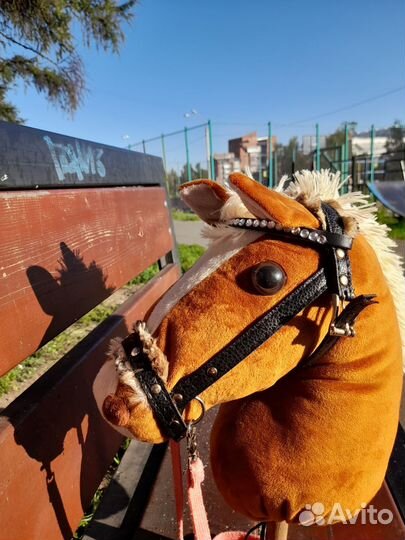 Набор в группу по хоббихорсингу