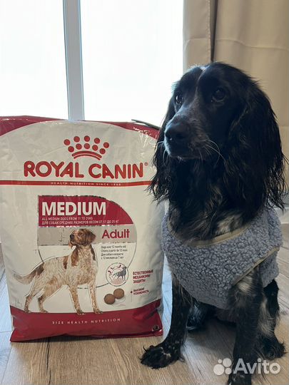 Сухой корм для собак royal canin medium adult