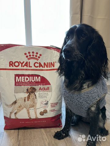 Сухой корм для собак royal canin medium adult