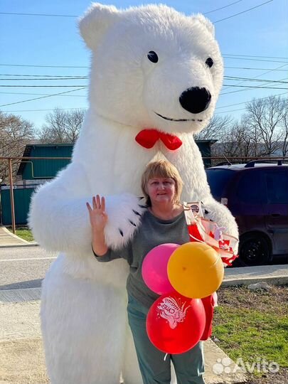 Поздравление Панда/ Чебурашка/ Белый Медведь