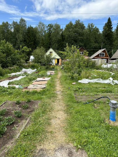 Дача 24 м² на участке 10 сот.