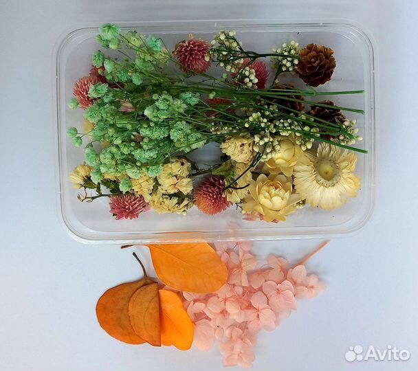 Сухоцветы, сушеные цветы для свечей