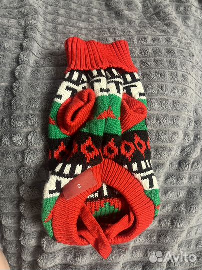 Одежда для собак мелких пород