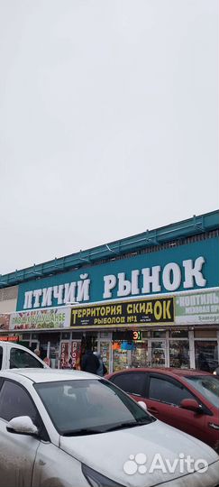 Посредник ТЦ Садовод