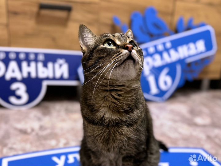 Адресник для дома и дачи