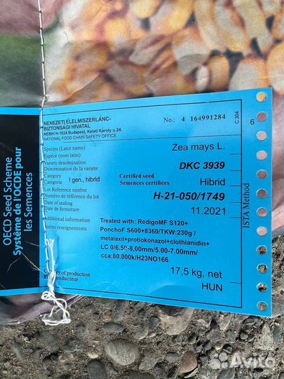 Семена кукурузы