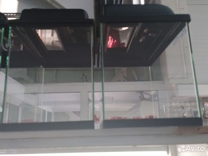 Черепашники, аквариумы