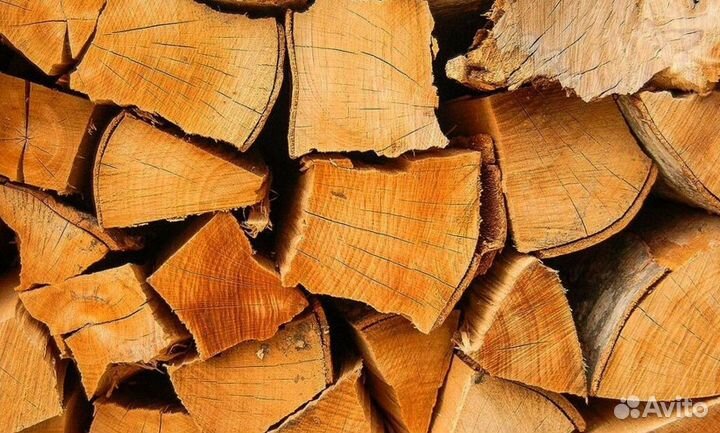 Дрова с Зеленогорска