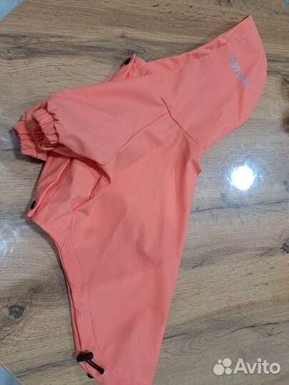 Одежда для собаки