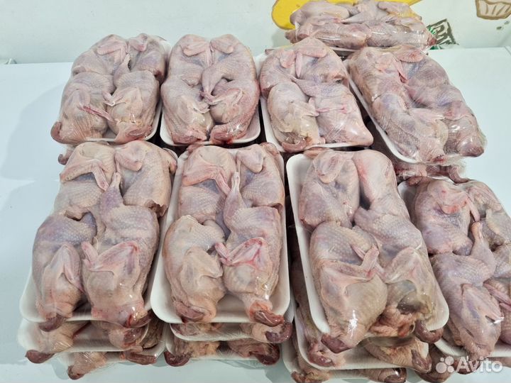 Перепелиное мясо. Мясо перепелов. Перепела