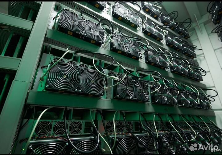 Асики Майнинг 4.9 за 1 квт