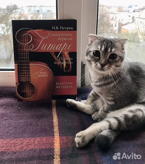 2 книги: игра на гитаре и «Деньги и изобилие»