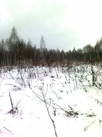 Участок 7 сот. (ИЖС)