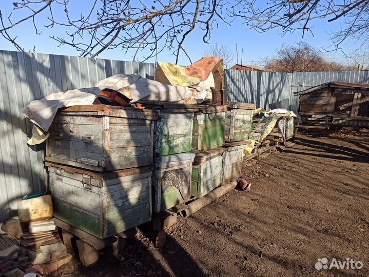 Продается пасека бу без пчёлосемей