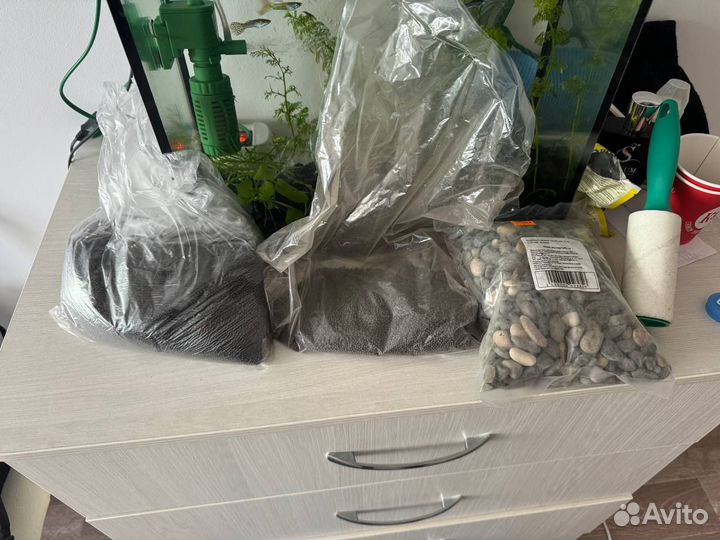 Аквариум с рыбками, растениями и креветками