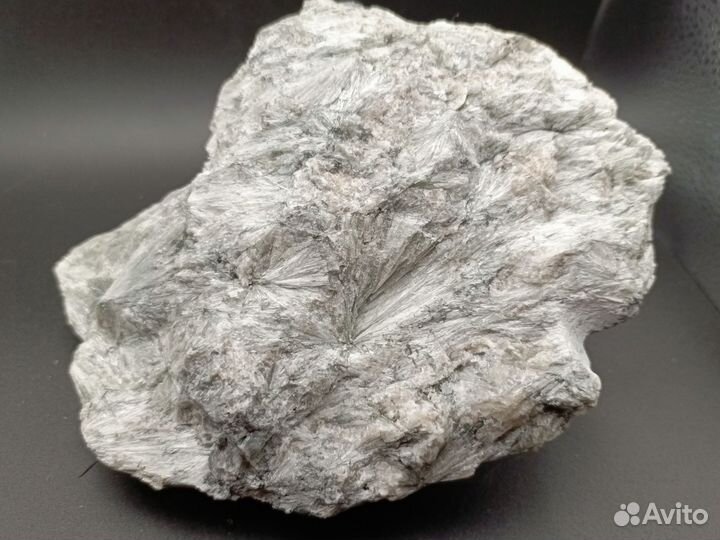 Солнышки Пектолита