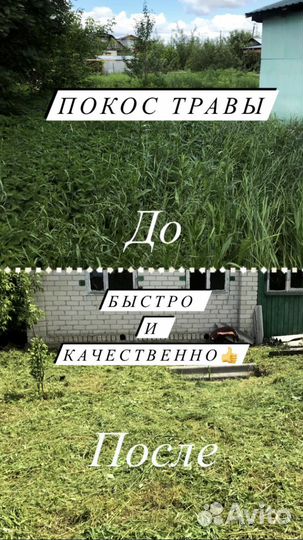 Покос травы, скосить траву