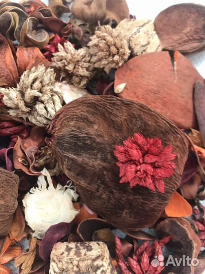 Декоративные сухоцветы интерьерные