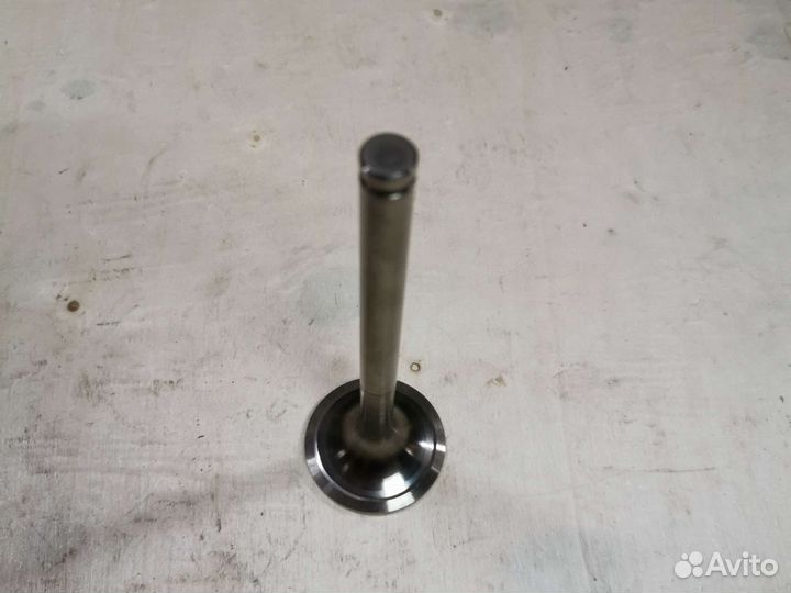 Клапан впускной D-10 10.04101.0004 49,9х11х166