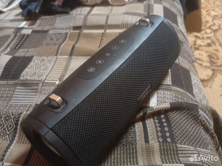 Колонка zealot