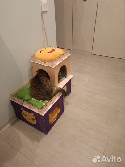 Домик лежанка для кошки