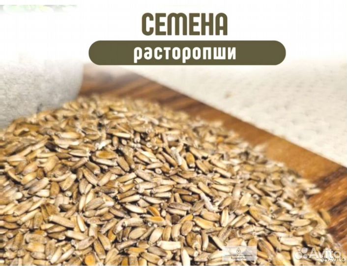 Качественные семена расторопши от производителя