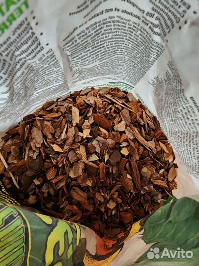 Мох сфагнум для террариума, субстрат