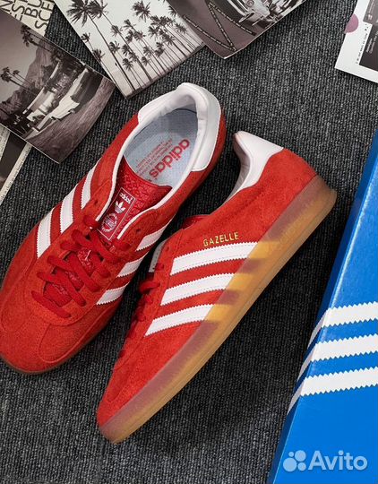 Adidas Gazelle Indoor Red Scarlett Gum