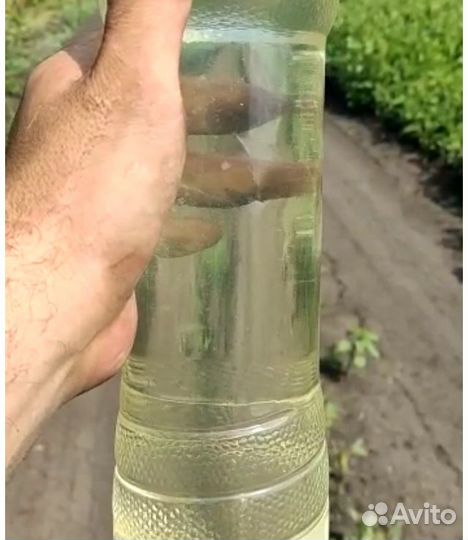 Печное топливо светлое