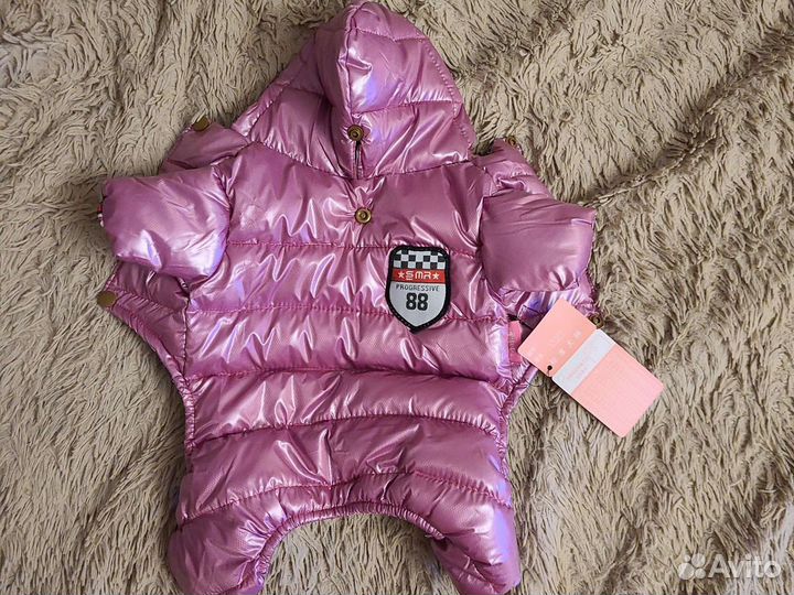 Одежда для собак