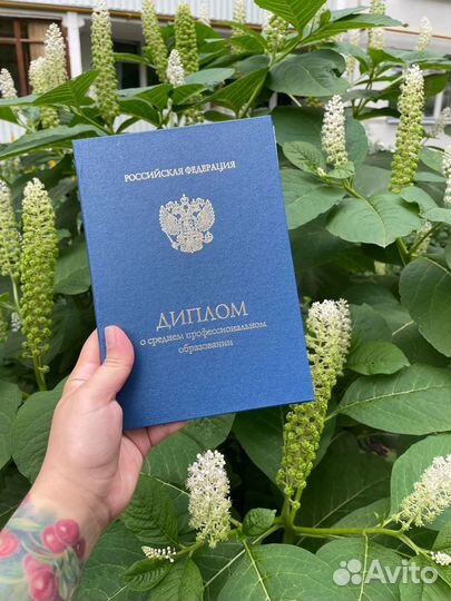 Дипломная Курсовая вкр Магистерская