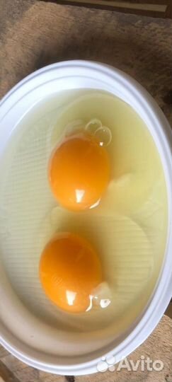 Яйцо куриное оптом